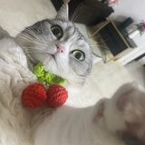 轻轻一跃