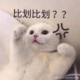 [已注销]