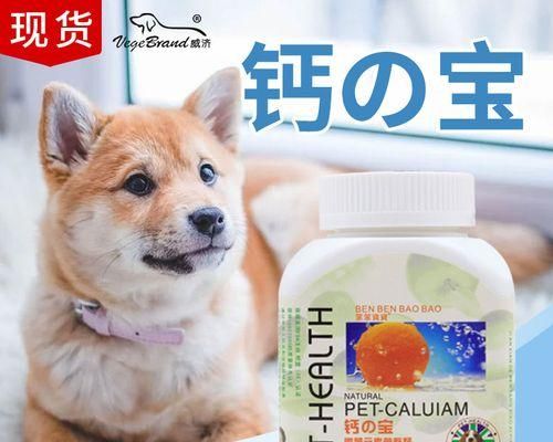 照顾宠物猫咪，如何补充营养（掌握以下15个方法）