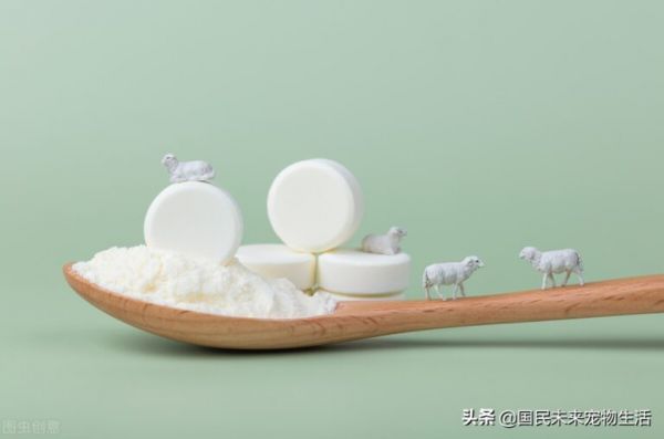 刚出生的小猫要如何照顾?人工喂养能养活吗?养猫人必看