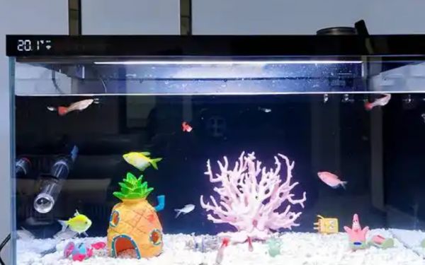 元族水族宠物发布智能生态缸，以科技守护水族文化传承