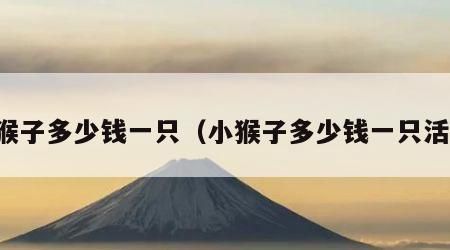 小猴子多少钱一只（小猴子多少钱一只活的）