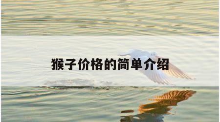 猴子价格的简单介绍