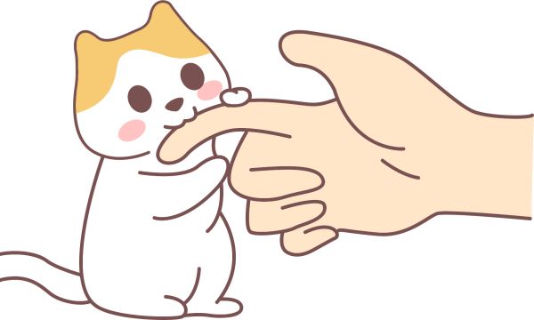 猫咪幸福感提升