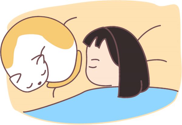 猫咪心理压力表现与缓解