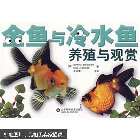 观赏鱼养殖技巧速学，宠物红书必备！