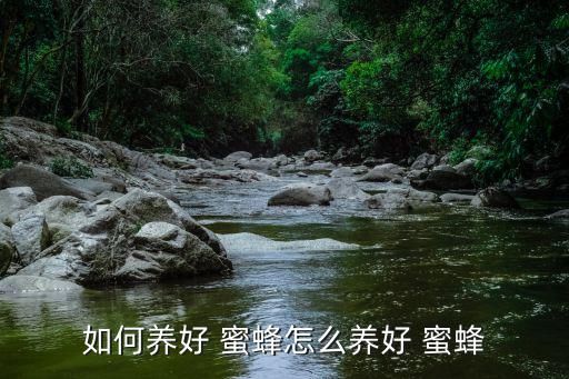 如何养好 蜜蜂怎么养好 蜜蜂