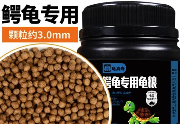 龟真寿龟粮：龟龟的美味营养之选