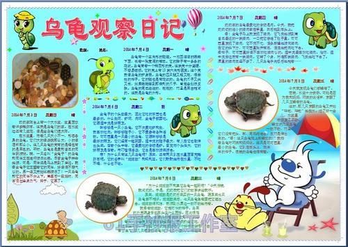 乌龟观察日记电子小报成品科学电脑手抄报动物记录板报模板5150a3