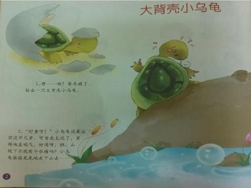 小乌龟是怎么变大的手抄报 19大的手抄报