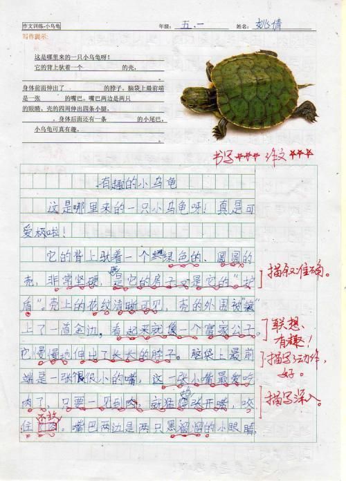 伊索寓言手抄报新朋友乌龟的秘密手抄报 手抄报模板大全