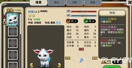 “宠物技能速成指南，驯兽师必备！”