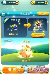 宠物技能秘籍,训练家必备!
