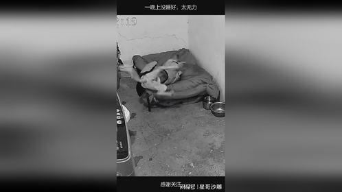 一晚上没睡好，太无力