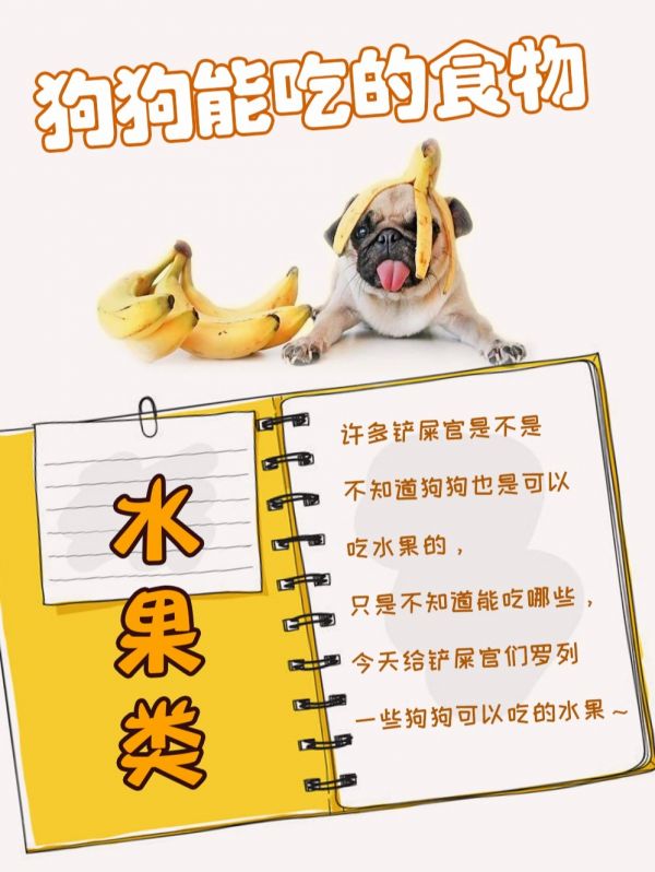狗狗能吃的水果有哪些 狗狗能吃的水果