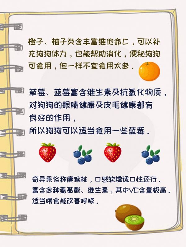 狗狗能吃的水果有哪些 狗狗能吃的水果