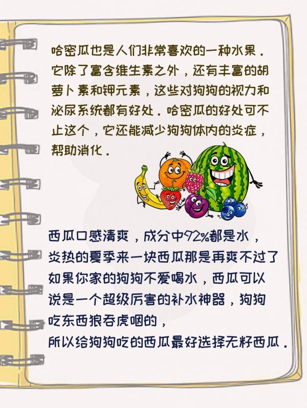 狗狗能吃的水果有哪些 狗狗能吃的水果