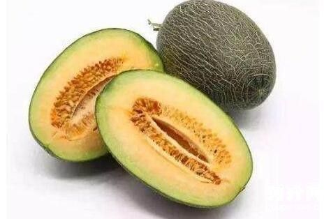 狗狗可以吃的水果有哪些？