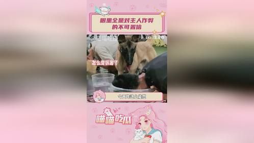 狗子：劳资越看越不对劲