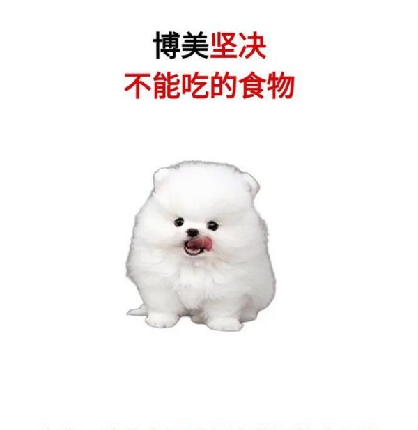 养狗须知（了解狗狗可以吃和不能吃的水果，给它们提供健康的饮食）