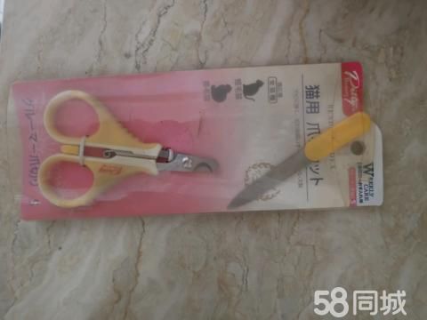 南宁宠物用品/食品·二手市场