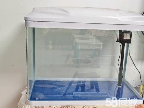 南宁宠物用品/食品·二手市场