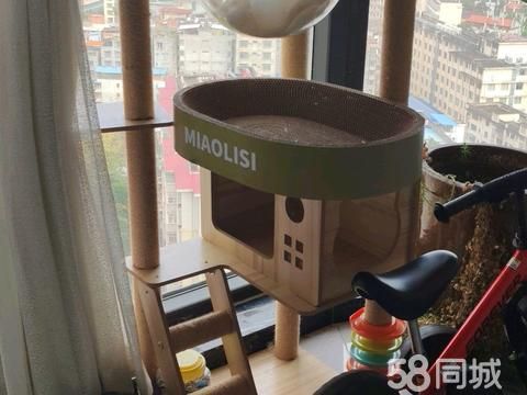 广西南宁祺恺知识产权服务·猫爬架转让