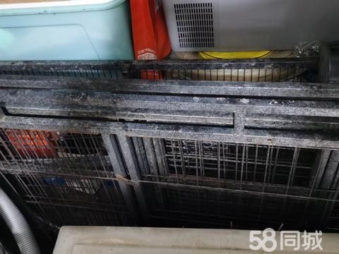 南宁宠物用品/食品·狗笼子一套，有需要的联系我，，先到先得