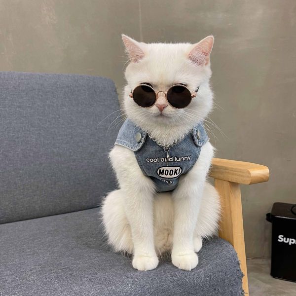 猫咪衣服夏季薄款防掉毛公猫帅气蓝猫布偶猫宠物狗宠物服装