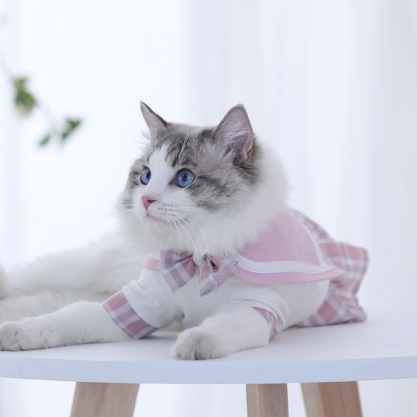 小猫咪衣服夏季米妮薄款夏天裙子猫猫jk布偶猫小猫幼猫宠物连衣裙夏装