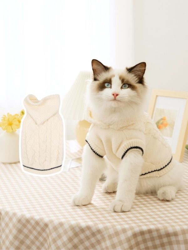 猫咪衣服新年装薄款