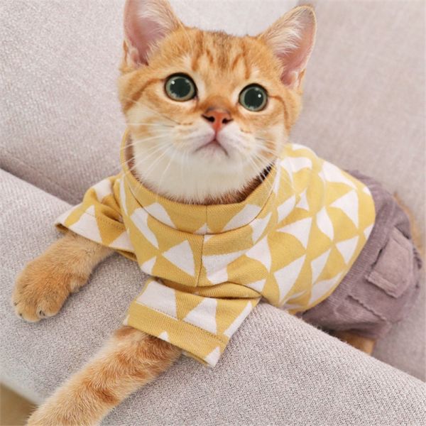 猫咪衣服猫猫米妮英短小猫幼猫布偶春秋夏季薄款宠物四脚装秋季