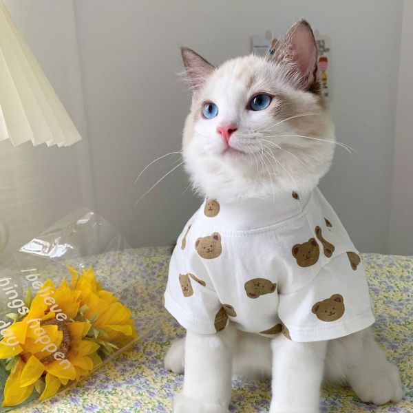 韩国ins猫咪衣服夏季薄款防掉毛布偶小奶猫可爱宠物狗狗猫猫衣服
