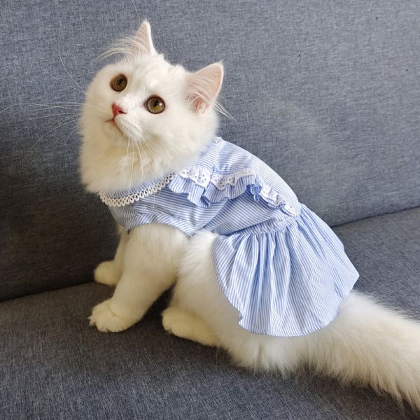 猫咪衣服薄款夏季宠物加菲猫银渐层布偶猫幼猫小猫防掉毛猫猫裙子