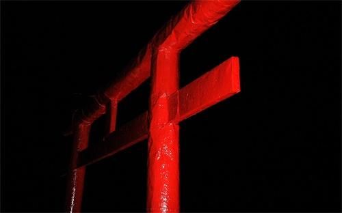 办公室养什么花最旺财