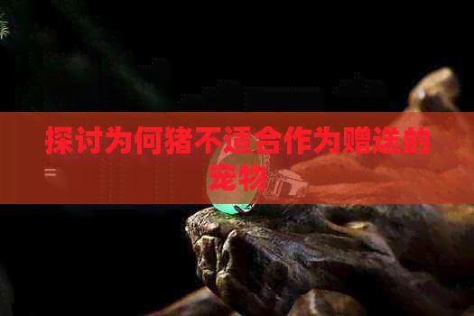 探讨为何猪不适合作为赠送的宠物