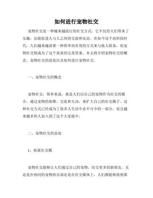 如何进行宠物社交