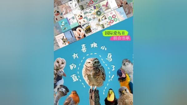 Thumbplayer Poster Plugin Image