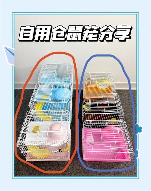 仓鼠笼子哈根_仓鼠笼子还能养什么宠物