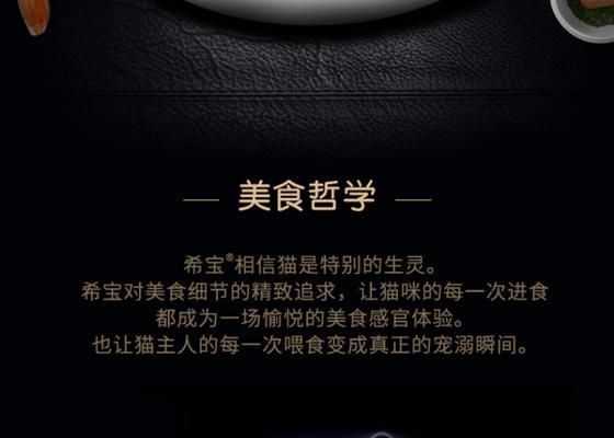 老年猫饮食需求与健康（老年猫的饮食指南以及保持健康的小窍门）