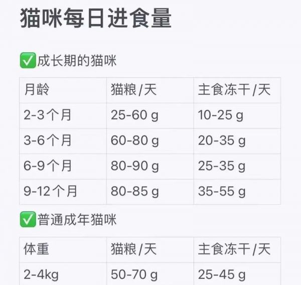 高龄猫咪的日常饮食应该如何安排？哪些猫粮品牌适合老年猫？