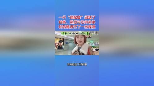 一只“绿配蛙”回到了桂林，然后与它的弟弟和弟媳进行了一出表演