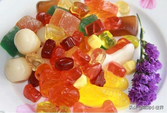​你给爱宠的罐头里是否含有这个危险成分？值得留意