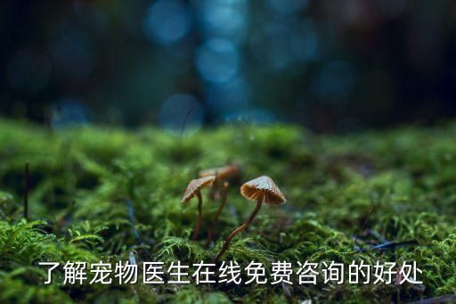 了解宠物医生在线免费咨询的好处