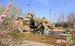 东营黄河三角洲动物乐园旅游攻略之鸟网