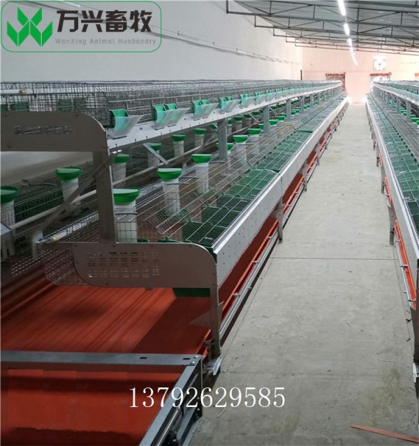 立式兔笼 三层立体兔笼 双层品字型兔笼