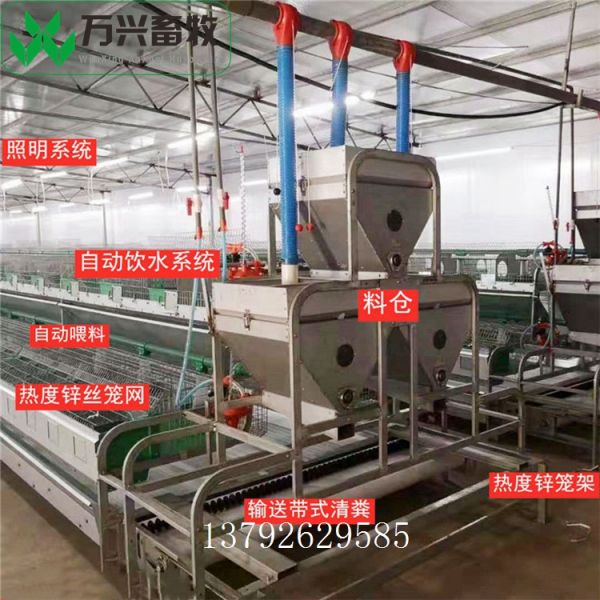 立式兔笼 三层立体兔笼 双层品字型兔笼