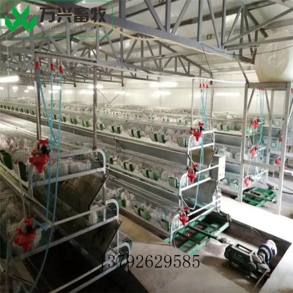 立式兔笼 三层立体兔笼 双层品字型兔笼