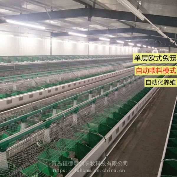 养兔子兔笼批发自动喂料12笼位单层子母繁育一体欧式兔笼