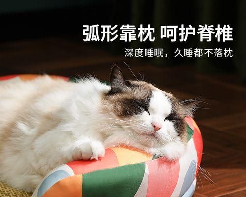 猫猫吃什么补充营养？如何选择合适的营养食品？